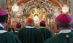 Messe vor dem Gnadenaltar in Mariazell - Vollversammlung der Österreichischen Bischofskonferenz in Mariazell (19.-21.6.2023)