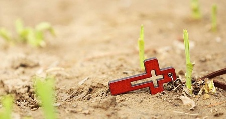 Kreuz und junger Trieb