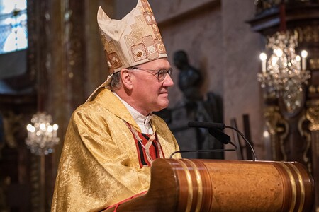 Bischof der Diözese St. Pölten, Predigt, Priesterweihe Simon Eiginger, Dom St. Pölten, St. Pölten, 10. Oktober 2020
