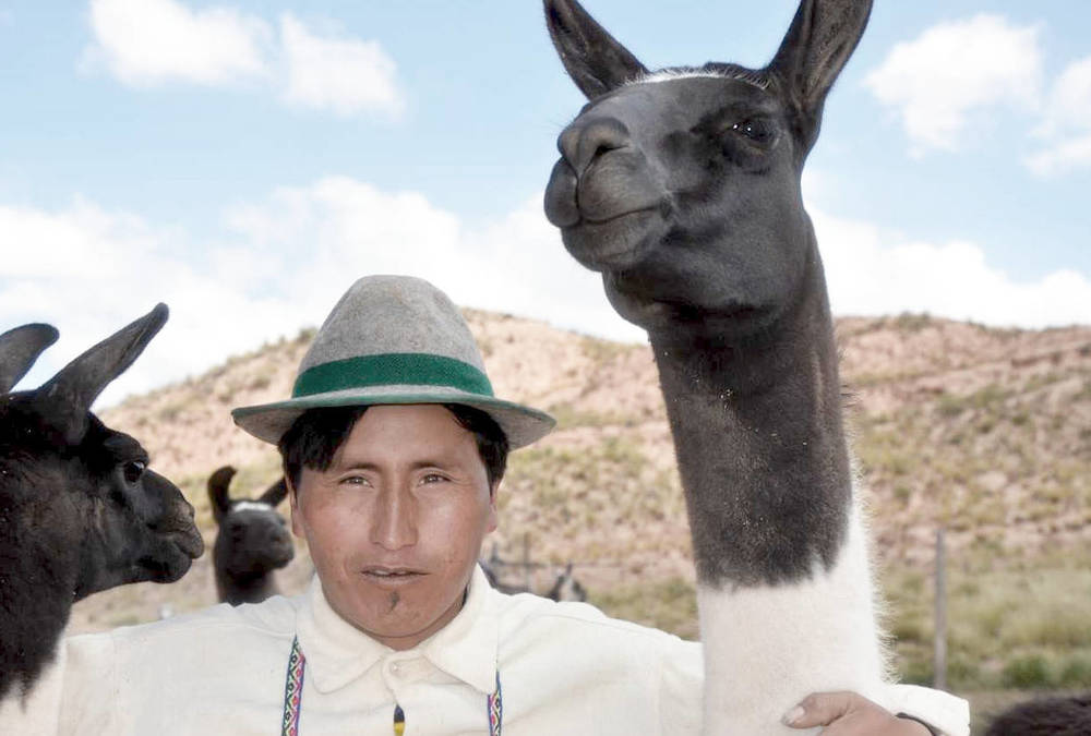 Lama-Bauer im bolivianischen Altiplano / Bruder und Schwester in Not