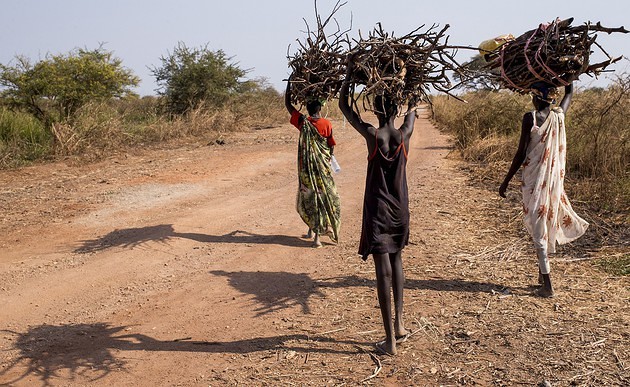 Menschen in Südsudan beim Holzsammeln / UN Photo/JC McIlwaine