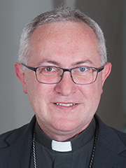 Weihbischof Anton Leichtfried, Diözese St. Pölten