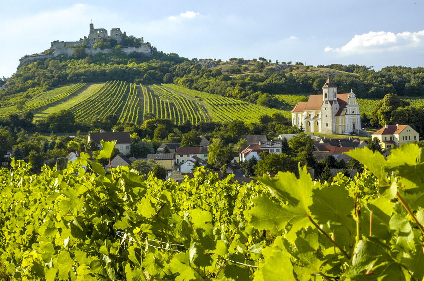 Weinregion Falkenstein im Weinviertel / visualpower / stock.adobe.com / www.allover.cc / Karl Thomas