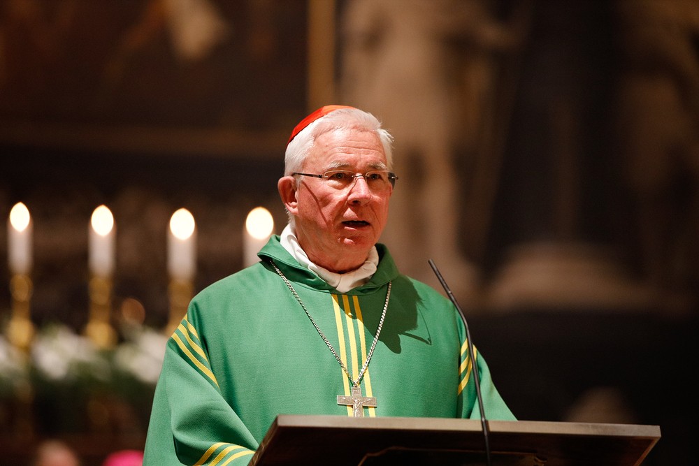 Erzbischof Franz Lackner / © Erzdiözese Wien/Stephan Schönlaub, Stephan Schoenlaub