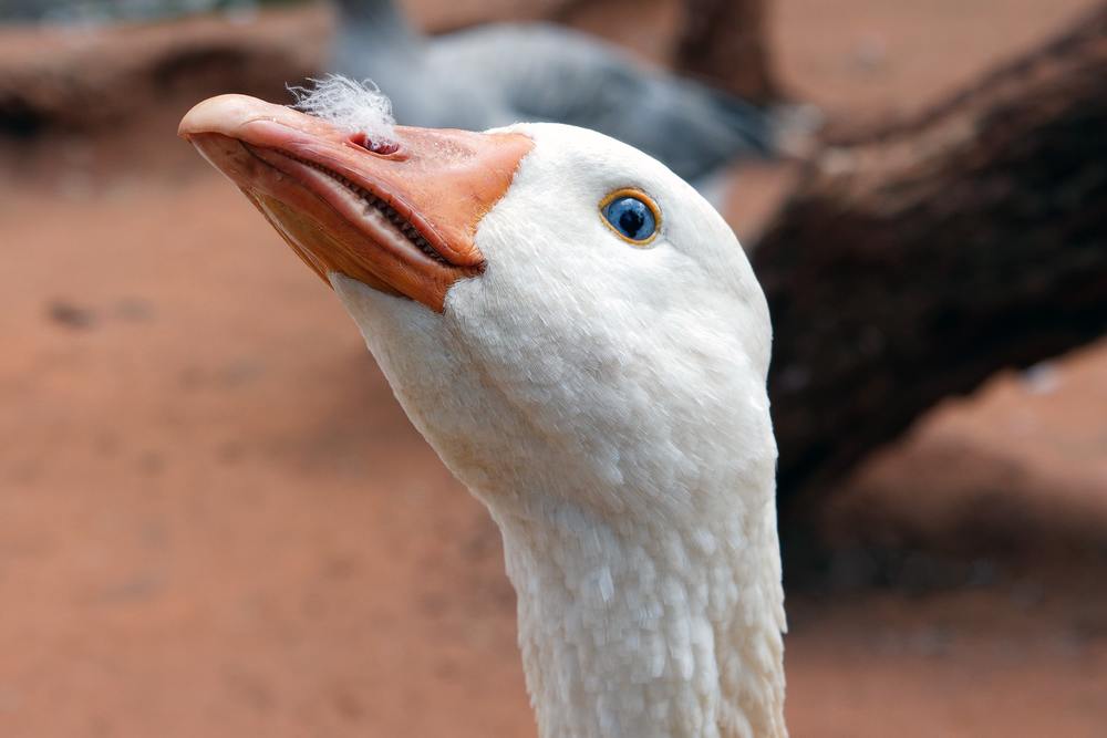 Photo by Annari du Plessis from Pexels