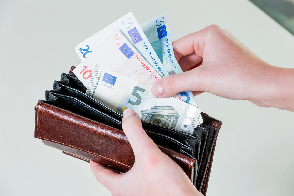 Geldb?rse mit Euroscheinen / Erwin Wodicka - wodicka@aon.at In einer Geldb?rse befinden sich einige Euro-Geldscheine. Geld wird durch die neue Armut knapp.
