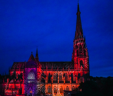 Mariendom: Tarock-Benefizturnier mit Bischof Scheuer