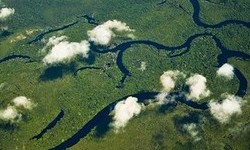 Der Widerstand gegen das vom brasilianischen Parlament verabschiedete Gesetz zur Vergabe von illegal besetztem Staatsland am Amazonas wächst. Umweltschützer halten das von der Agrarlobby durchgesetzte Gesetz für eine Bedrohung des Regenwaldes.Bild: