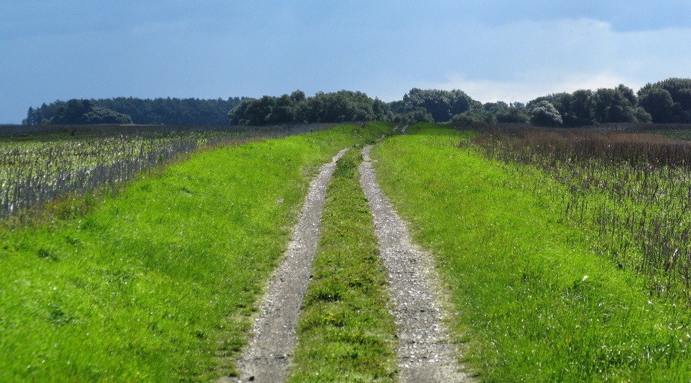 Weg in einsamer Landschaft / Robert Mitscha-Eibl/Kathpress Weg in einsamer Landschaft