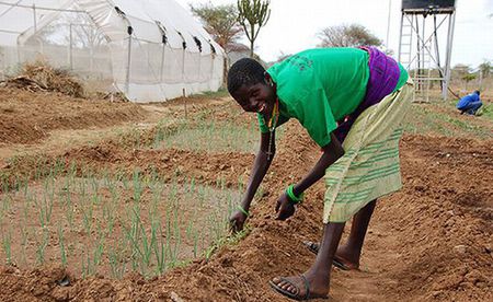 Caritas Landbauprojekt in Uganda / Caritas Kärnten