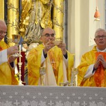 v.l.: Kardinal Christoph Schönborn (Wien), Bischof Wilhelm Krautwaschl (Graz), Erzbischof Franz Lackner (Salzburg)