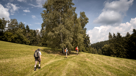 Wilheringer Pilgerweg 'Von der Donau bis zur Moldau' eröffnet