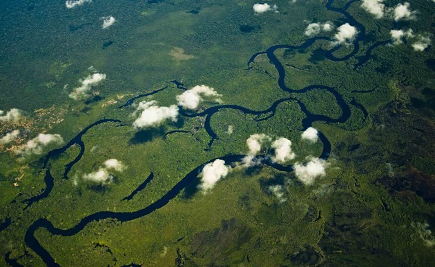 Bedrohung des Regenwaldes / © KNA-Bild, Thomas Milz Der Widerstand gegen das vom brasilianischen Parlament verabschiedete Gesetz zur Vergabe von illegal besetztem Staatsland am Amazonas wächst. Umweltschützer halten das von der Agrarlobby durchgesetzte Gesetz für eine Bedrohung des Regenwaldes.Bild: