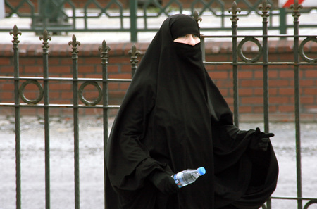 Frau mit muslimischer Bekleidung [ NUR FUER REDAKTIONELLE VERWENDUNG! (c) www.BilderBox.com, Erwin Wodicka, Siedlerzeile 3, A-4062 Thening, Tel. + 43 676 5103678.Verwendung nur gegen HONORAR, BELEG, URHEBERVERMERK nach AGBs auf bilderbox.com], 20, 20