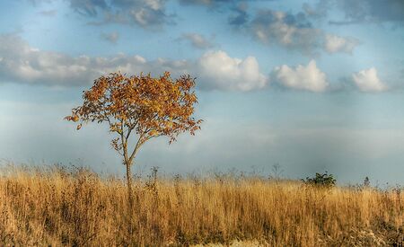 Trockene Landschaft